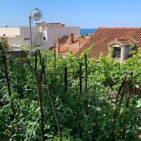 Apartment In Dubrovnik For 2 People Apartamento