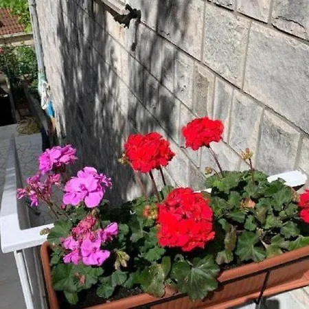 Apartment In Dubrovnik For 2 People * Dubrovnik